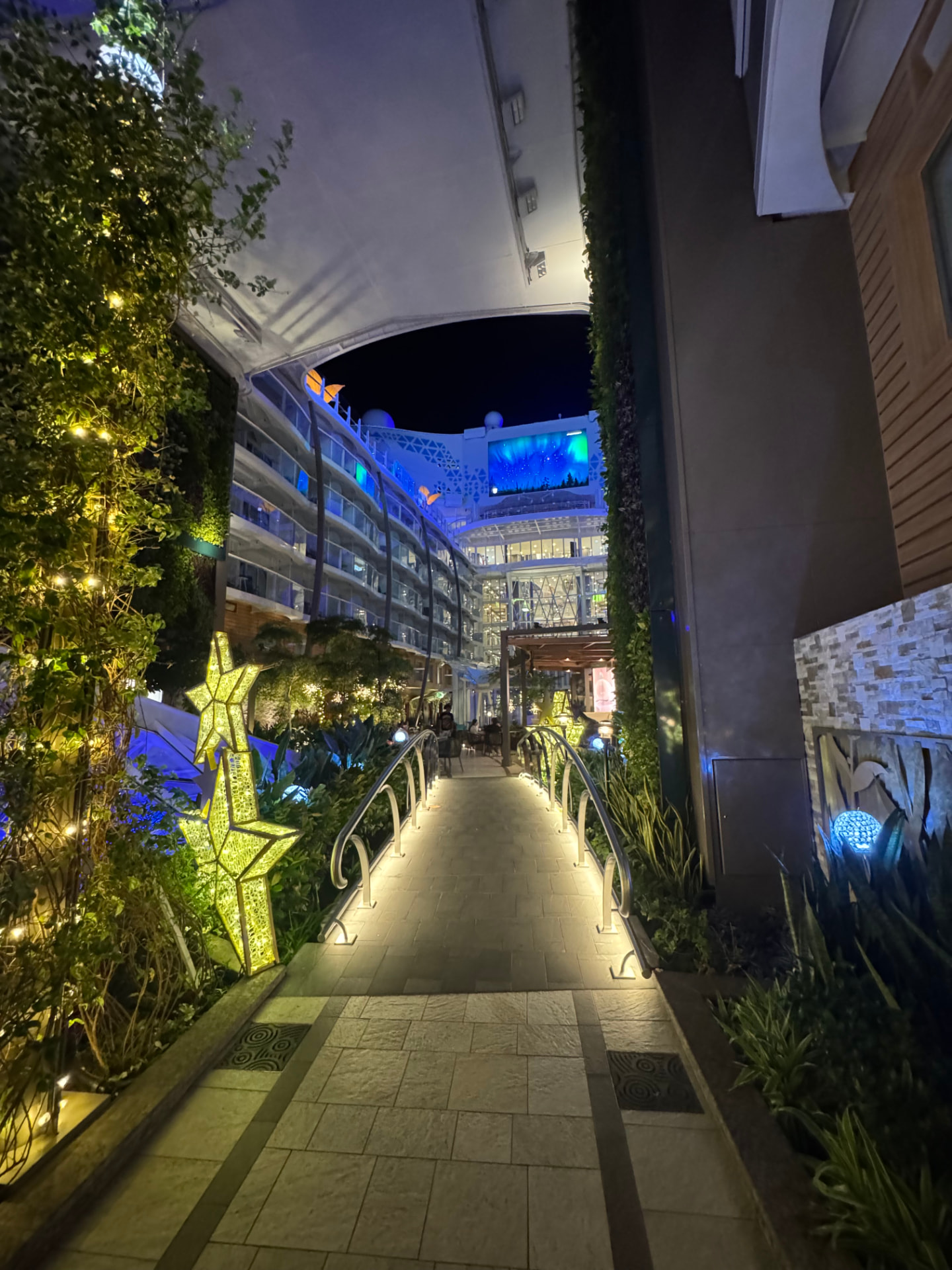 A cruise ship walkway illuminated with holiday stars at night